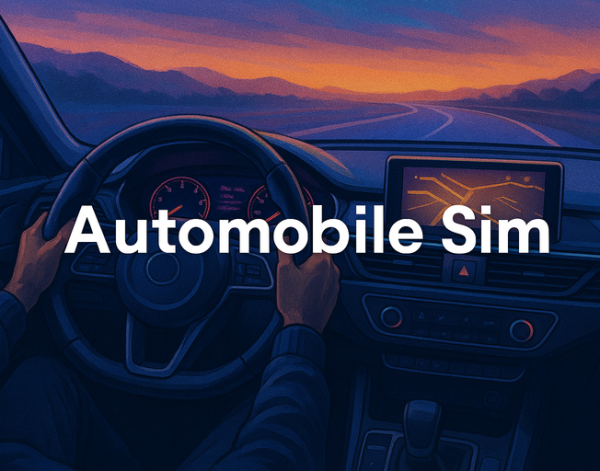 automobile sim cover
